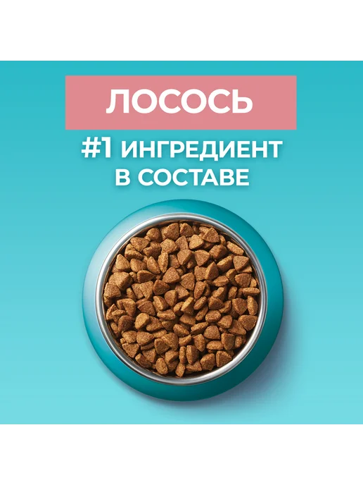 Сухой корм PURINA ONE Кошек для собак, взрослые, стерилизованные, лосось, 0,75 кг, фото 5
