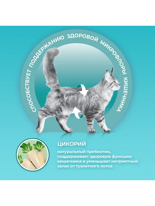 Сухой корм PURINA ONE Кошек Котов для собак, взрослые, курица, 9,75 кг, фото 3