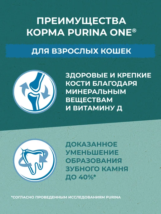 Сухой корм PURINA ONE Кошек Природа для собак, взрослые, курица, 0,68 кг, фото 4