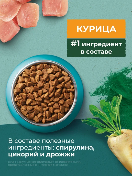 Сухой корм PURINA ONE Кошек Природа для собак, взрослые, курица, 0,68 кг, фото 5