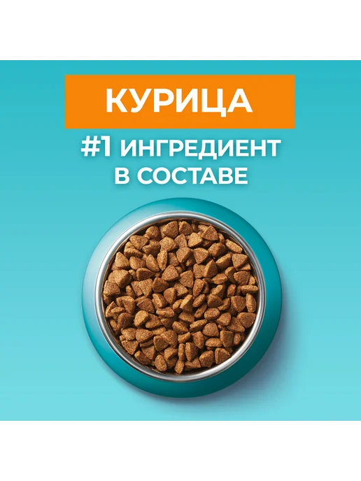 Сухой корм PURINA ONE Кошек Красивой для собак, взрослые, 0,75 кг, фото 5