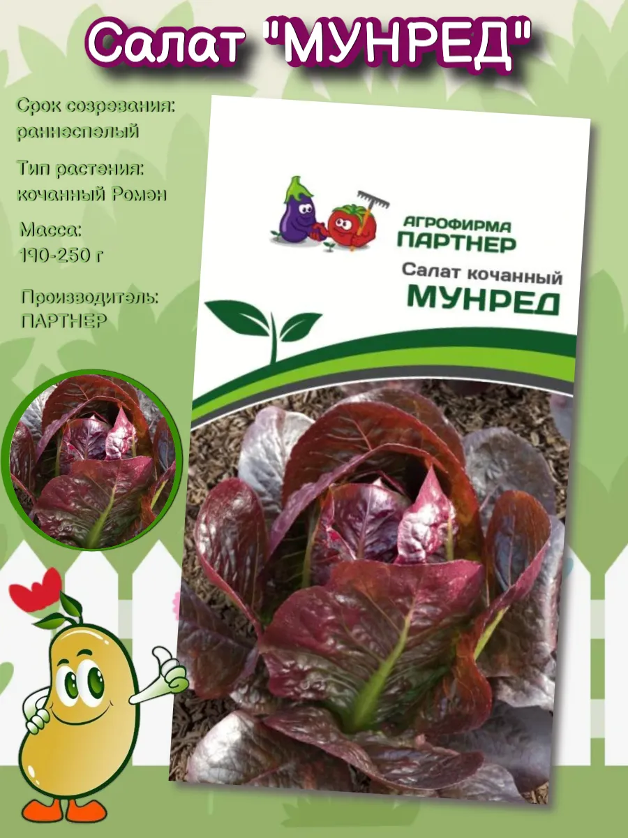 Семена Салат кочанный "МУНРЕД"