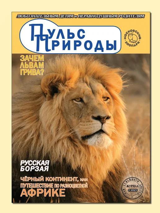 ИП Бахметьева И.А. Журнал "Пульс природы" №2 2025, №3