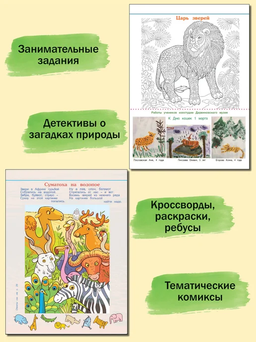 ИП Бахметьева И.А. Журнал "Пульс природы" №2 2025, №3, фото 4