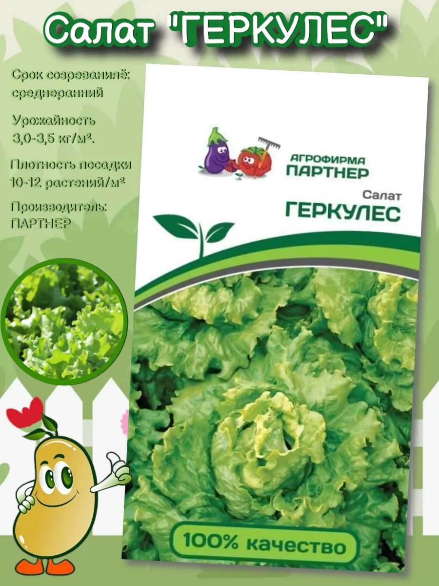 Семена Салат "ГЕРКУЛЕС"