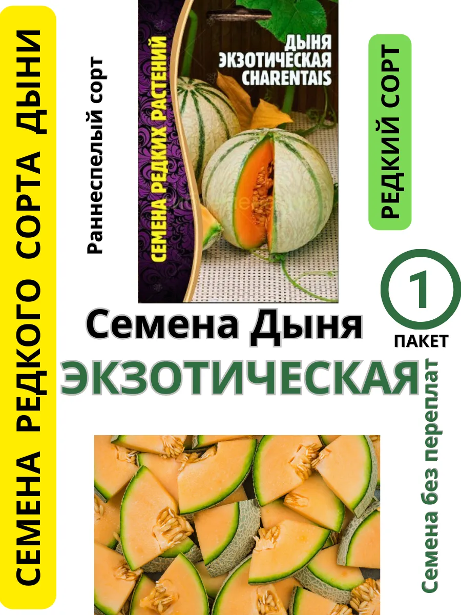 Семена Дыня Экзотическая