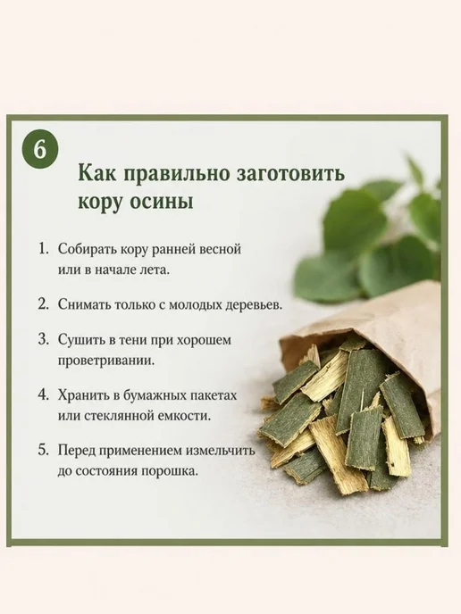 Кора осины молотая 500 г (порошок, натуральная), 500 г, фото 4