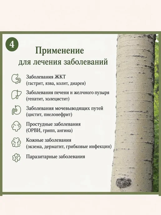 Кора осины молотая 500 г (порошок, натуральная), 500 г, фото 7
