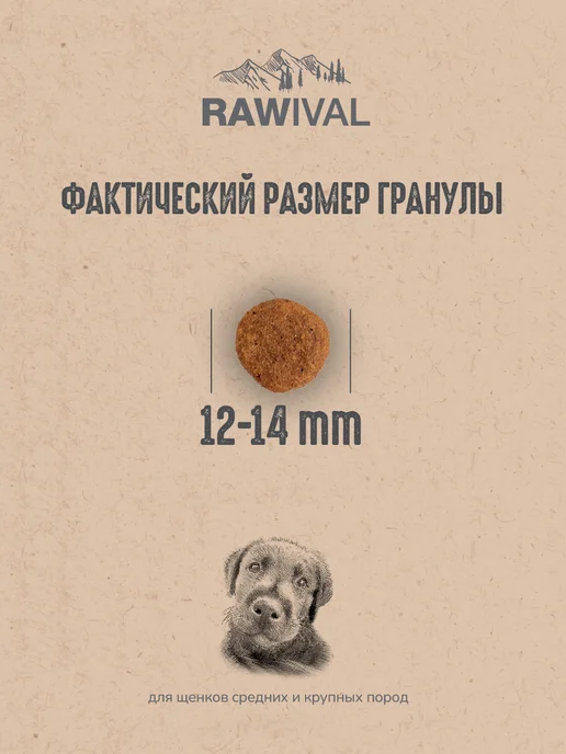 Сухой корм Rawival для собак, крупные, средние, щенки, 0,76 кг, фото 8