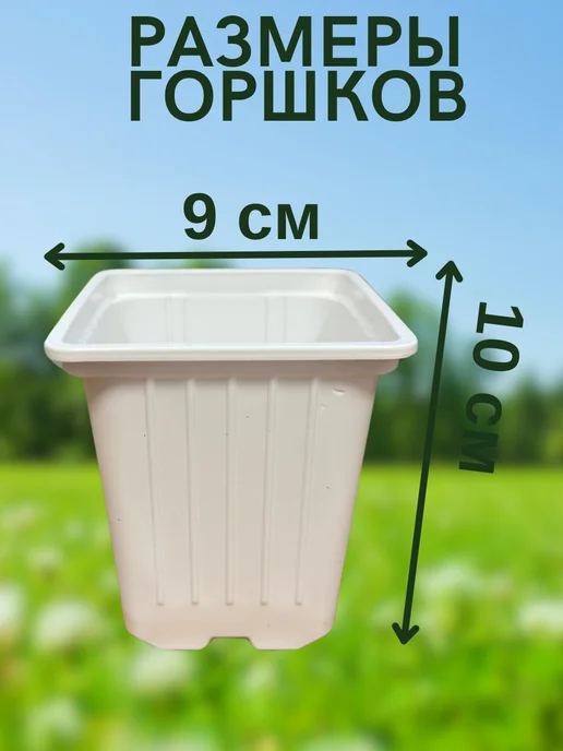 Your home&garden Горшок для рассады маленький, белый, 50 шт, фото 2