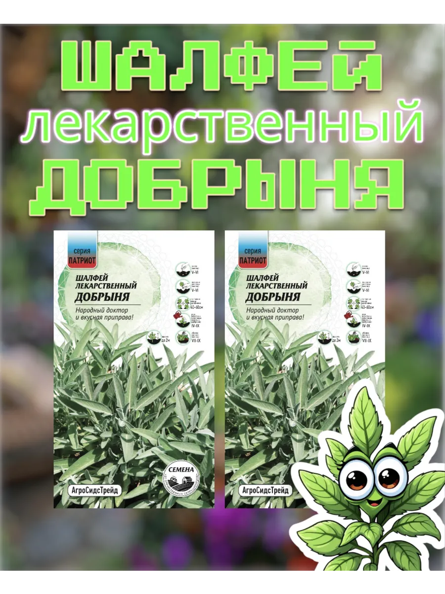 Шалфей лекарственный Добрыня набор семян