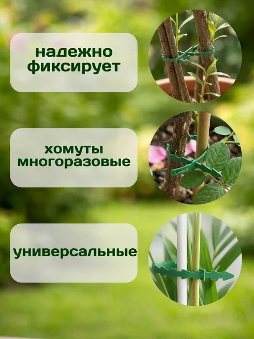 Love2Ann Опоры для растений в саду клипсы для томатов и огурцов 100, зеленый, фото 2