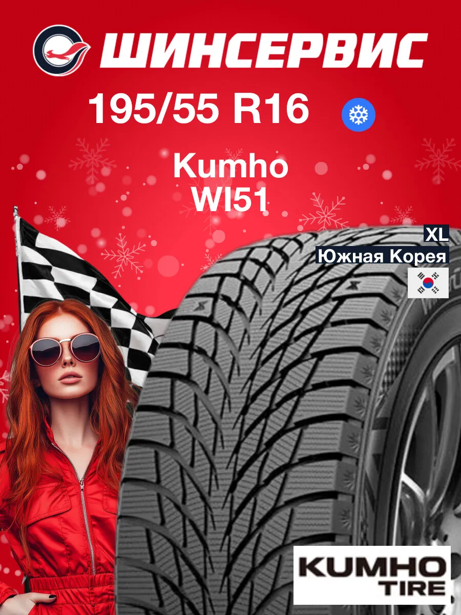 Шины зимние 195/55 r16 91T WI51
