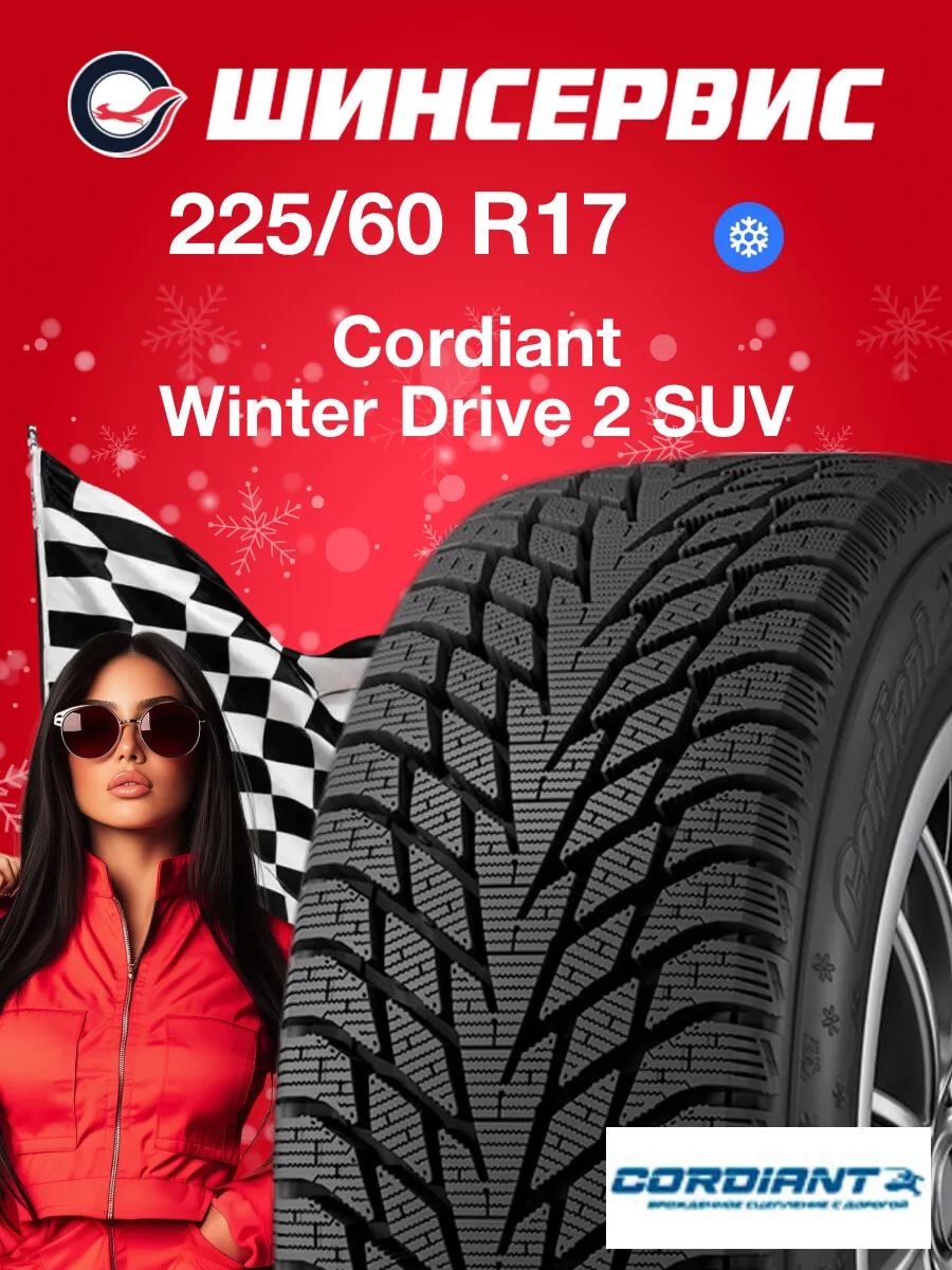 Шины зимние 225/60 r17 103T Winter Drive 2 SUV