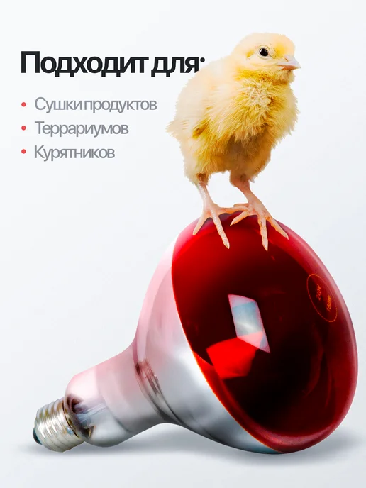 ОГОНЁК Инфракрасная лампа для обогрева птиц и животных, 250 Вт, Е27, 250 Вт, фото 2