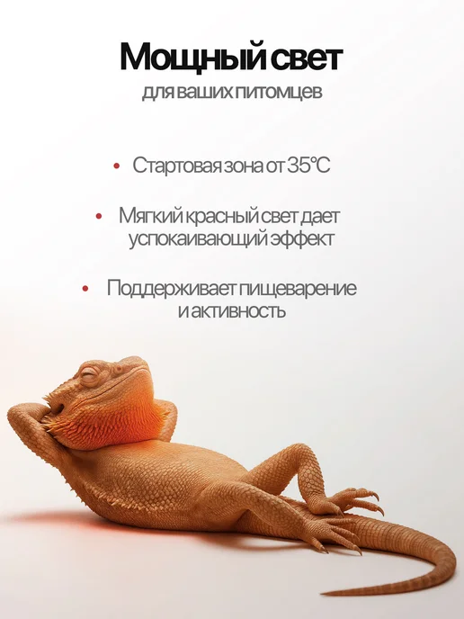 ОГОНЁК Инфракрасная лампа для обогрева птиц и животных, 250 Вт, Е27, 250 Вт, фото 5