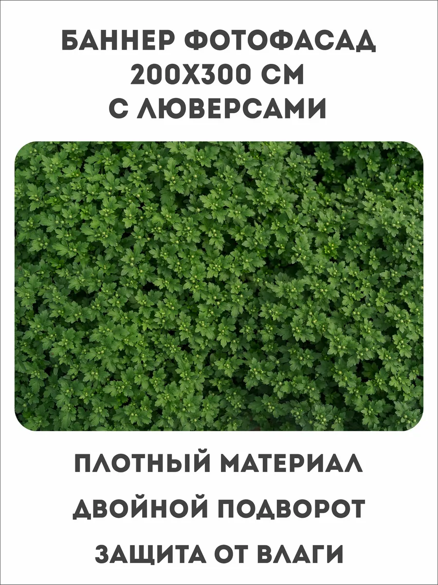 Баннер на забор. Фотофасад. Зелень.