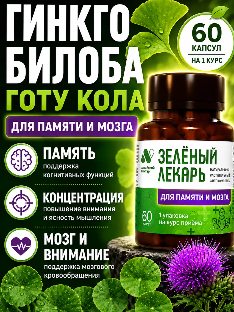 Гинкго билоба и готу кола — ноотроп для памяти и мозга