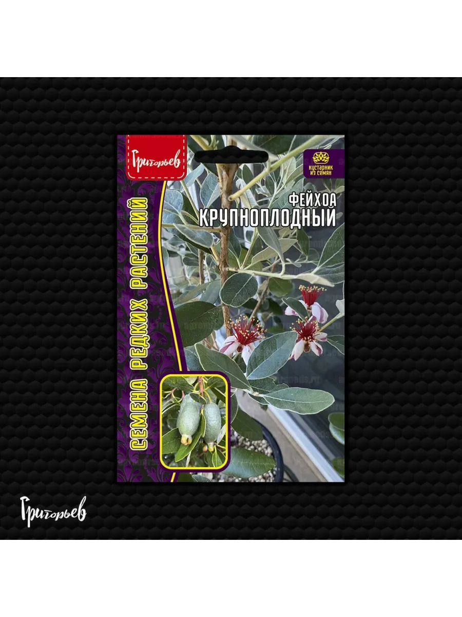Семена Фейхоа Крупноплодный (ананасовая гуава)