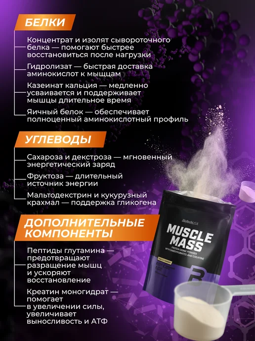 BioTechUSA Гейнер Маскл Масс 1000 г. ваниль, 1 кг, фото 4