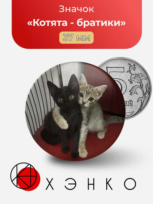 Котята - братики значок