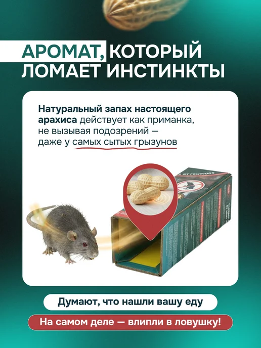 Maguse Липкая мышеловка ловушка для мышей и крыс 2 штуки, вариант, фото 3