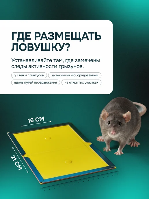 Maguse Липкая мышеловка ловушка для мышей и крыс 2 штуки, вариант, фото 5