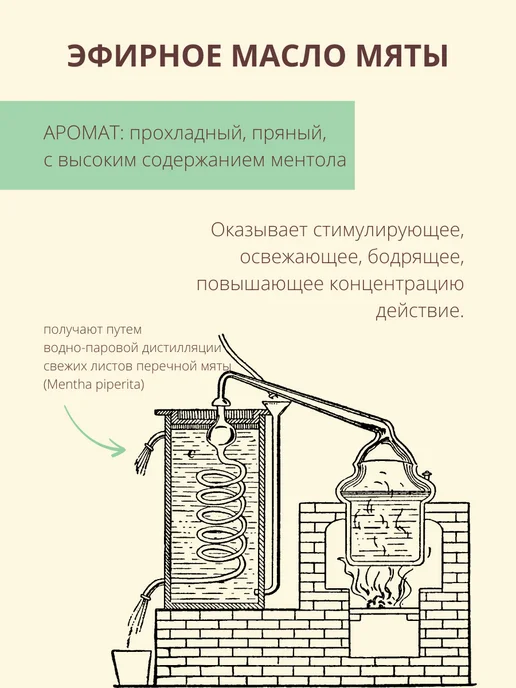 COSMEGIE Эфирное масло мяты 10 мл, 10 мл, фото 2