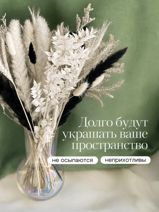 Mara mix Эвкалипт стабилизированный сухоцвет, вариант, фото 3
