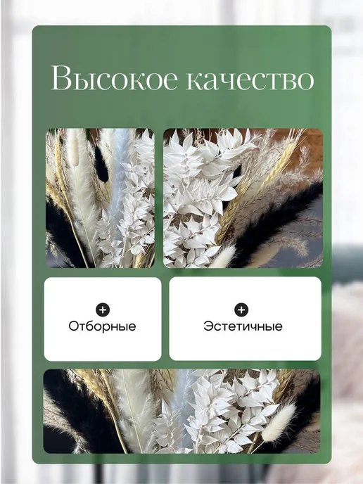 Mara mix Эвкалипт стабилизированный сухоцвет, вариант, фото 7
