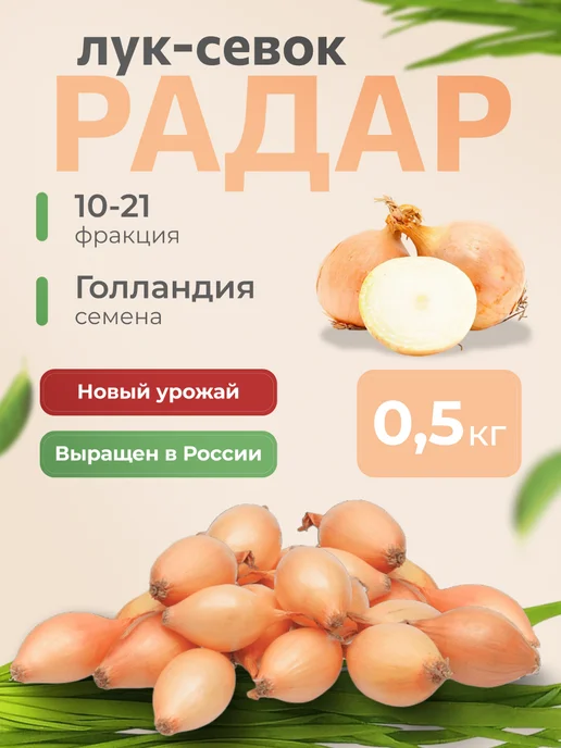 Вершки Корешки Лук-севок на посадку Радар 0,5кг, 500 г