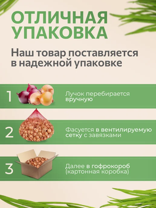Вершки Корешки Лук-севок на посадку Радар 0,5кг, 500 г, фото 2