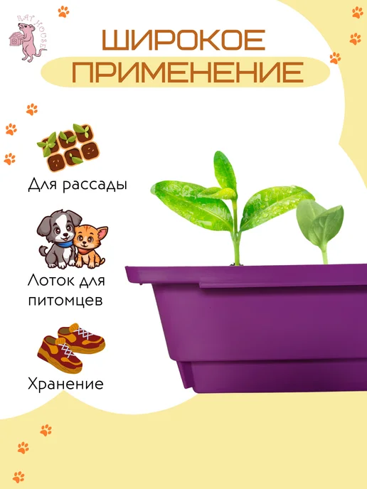 Rat House Поддон в клетку, фиолетовый, фото 2