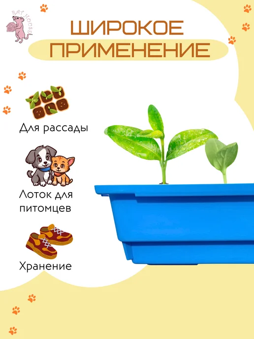 Rat House Поддон в клетку, голубой, фото 2