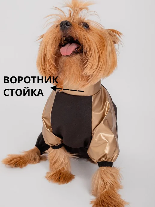 ZooTwoNatiPremium Дождевик для собак мелких и средних пород, черный, фото 3