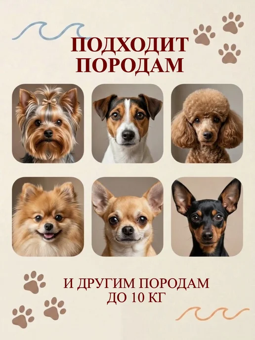 ZooTwoNatiPremium Дождевик для собак мелких и средних пород, черный, фото 5
