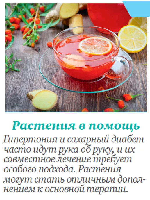 Живу с диабетом журнал о сахарном диабете №3 25, вариант, фото 5