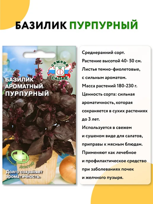 СеДеК Семена базилика для посадки Зеленый, Фиолетовый, зеленый, фото 3